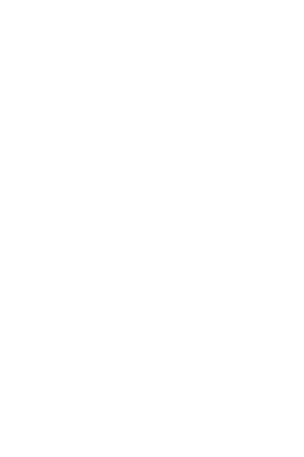 Mextiza